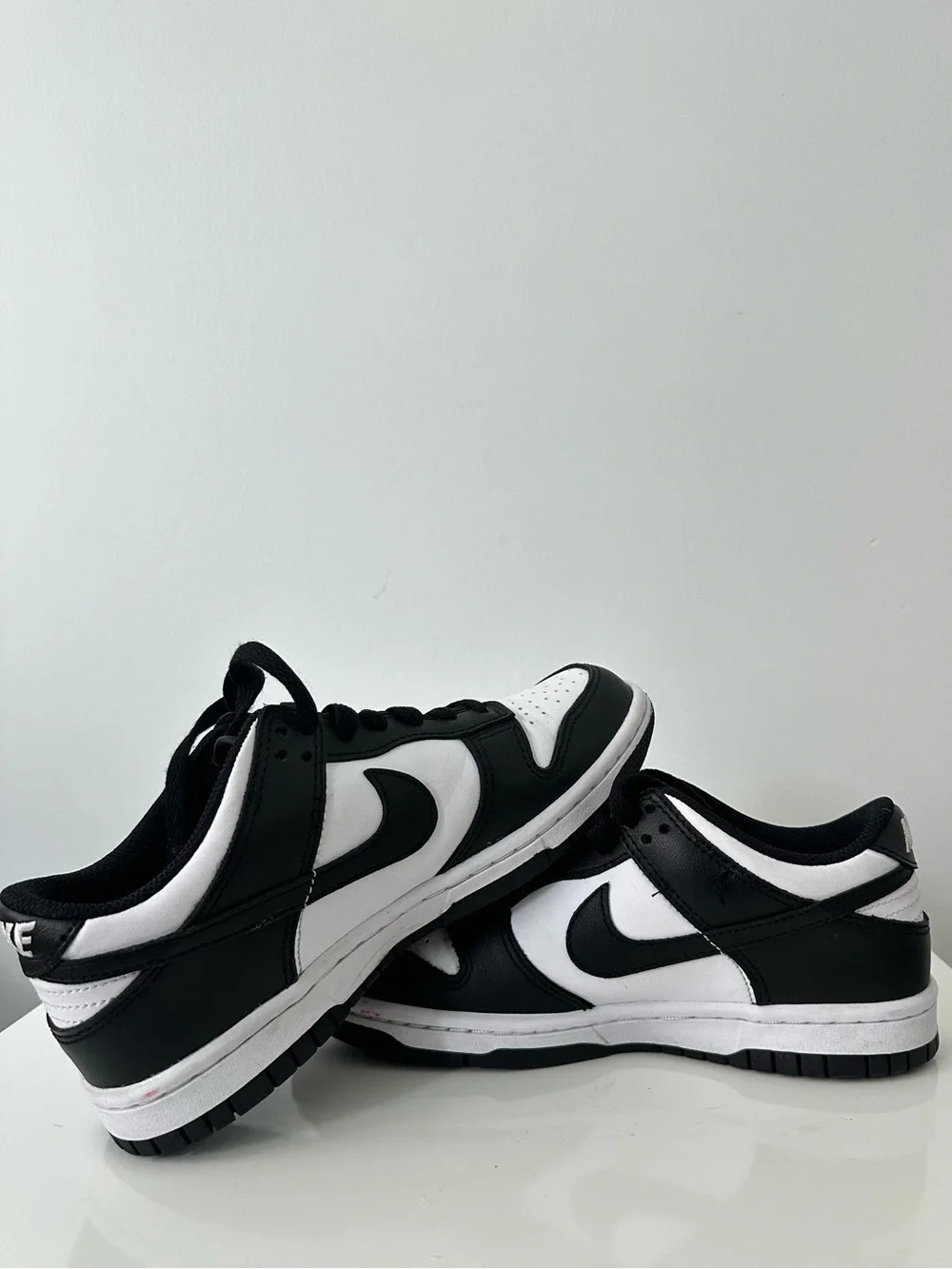 Nike Dunk Low Big Kids